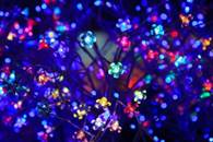 decorative_led_lights_199812